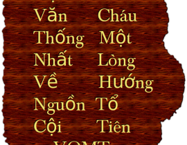 caudoivanquyminhtuan.png