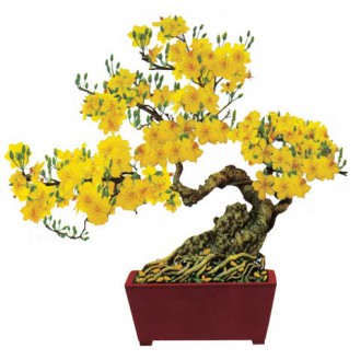 Phả Ký Tộc Văn- Làng La Vân Thượng- Hương Trà-TTH