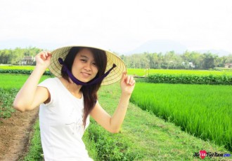 Hình minh họa