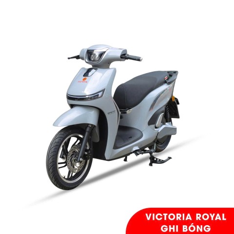 Xe máy điện Victoria Royal - Bao biển số thumb