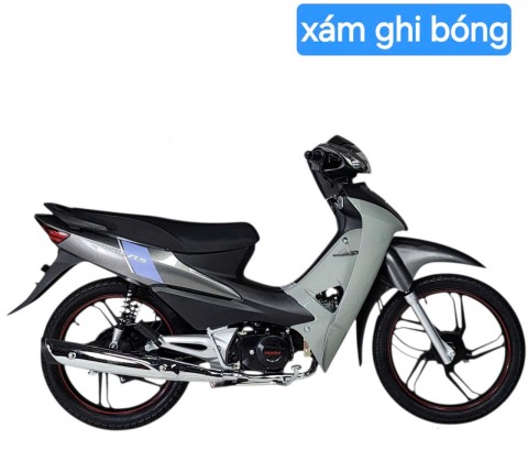 Honlei RS-Bao biển số thumb