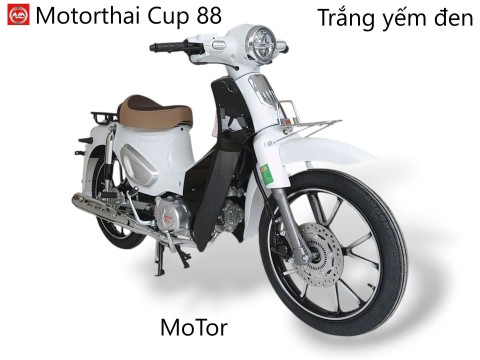 MotorThai Cup88-Bao biển số thumb