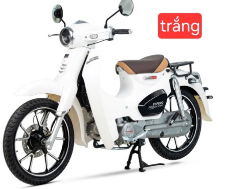 Xe Máy Dưới 50CC  ESPERO Classic VVIP II-Bao biển số thumb