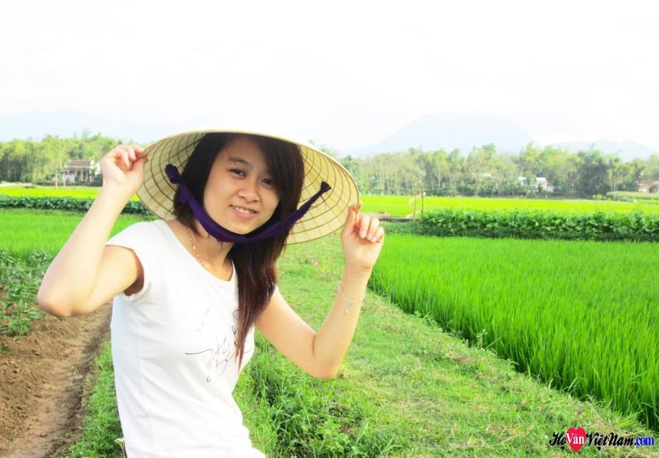 Hình minh họa
