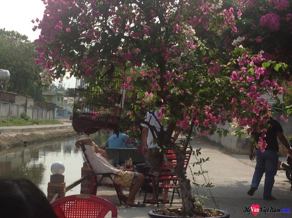 Cafe hoa giấy
