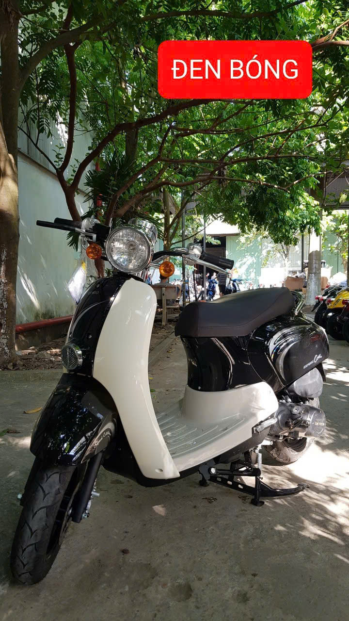 XE XĂNG 50CC ESPERO CREA-BAO BIỂN SỐ