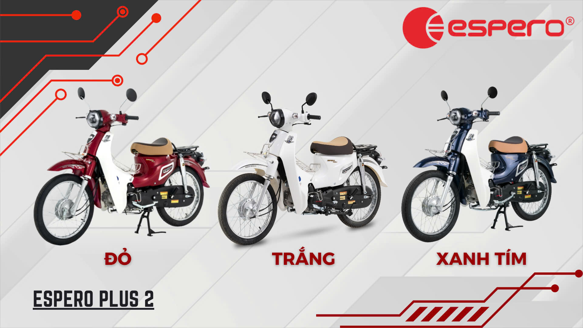 50CC Motorcycle  ESPERO Plus 2