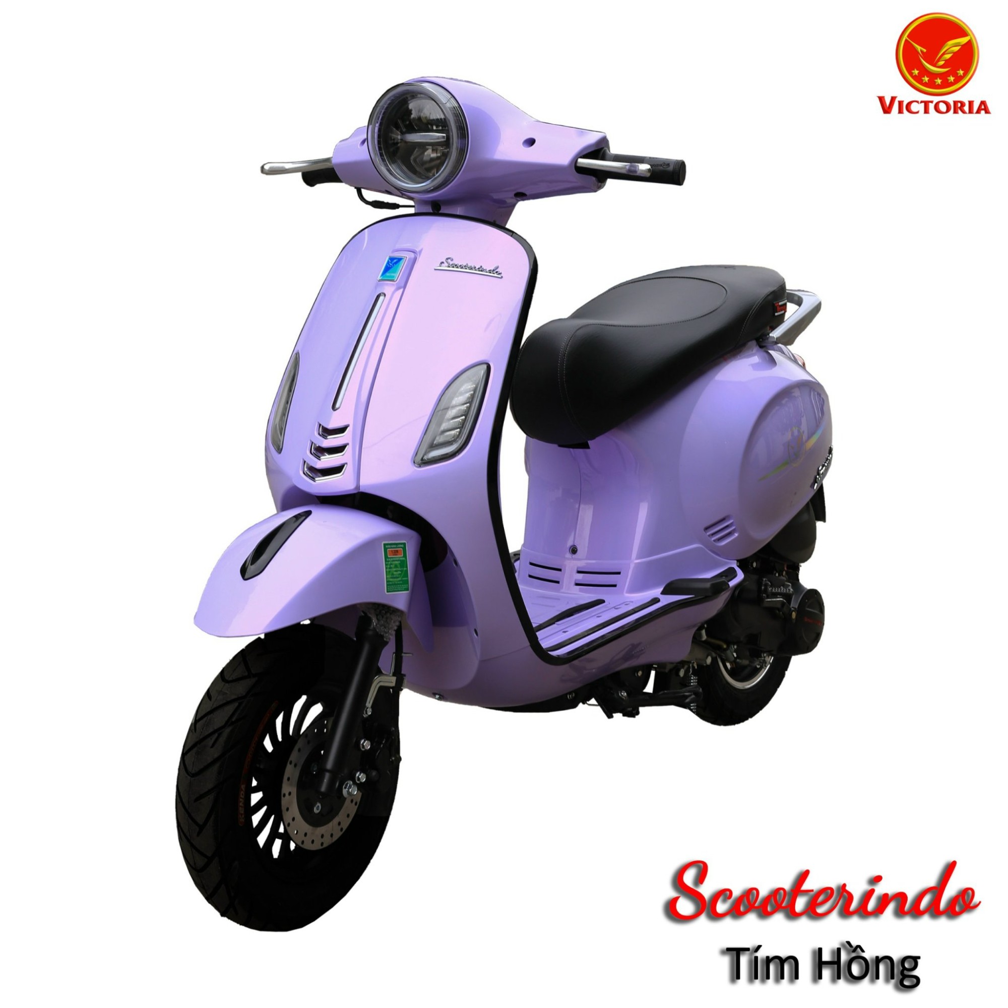 Victoria ScooterINDO - Bao biển số