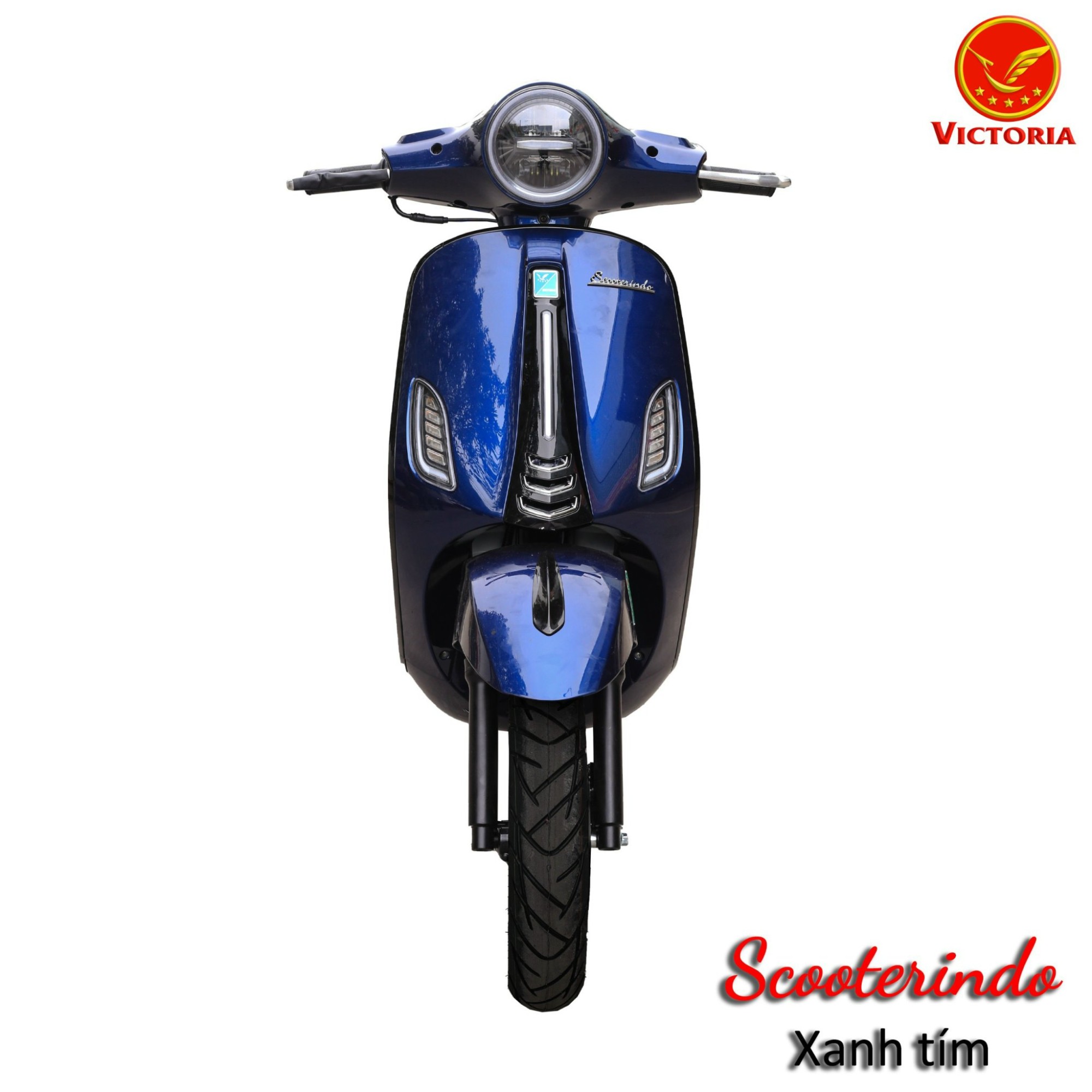 Victoria ScooterINDO - Bao biển số